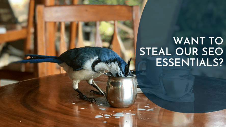 Want to Steal Our Stack of SEO Essentials?